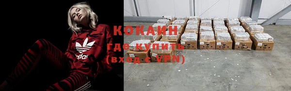 прущие грибы Богородск