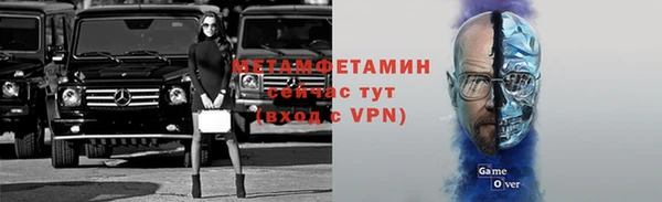 прущие грибы Богородск