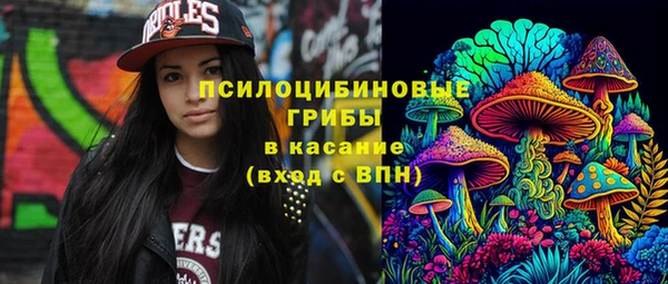 прущие грибы Богородск