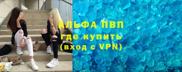 прущие грибы Богородск