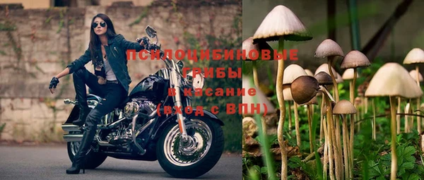 круглые Богданович