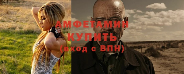 прущие грибы Богородск
