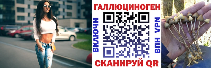 наркота Нижнекамск Псилоцибиновые грибы Psilocybe